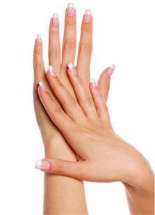 Piping Rock Miracle of Aloe Miracle Hand Repair Cream